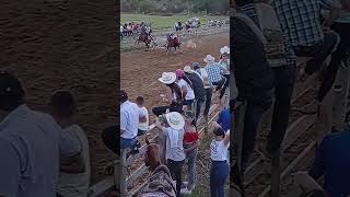Una faena del llano que se acabo - LLANO, COLEO Y FOLCLOR #vaqueros #toros #caballos