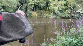 A great Barbel session on the Wye, using a split cane fishing rod.