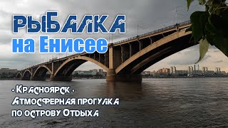 Рыбалка на Енисее. Красноярск. Атмосферная прогулка по острову Отдыха. Из дневника рыбака - 2024.