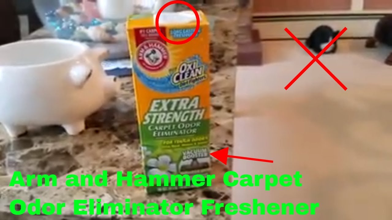 Arm & Hammer A&H Pet Fresh 2 LB Dry Carpet Cleaner Chemical - Merchandise  Mecca