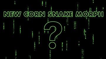 NEW CORN SNAKE MORPH ! WELCOME TO THE MATRIX