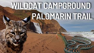 Wildcat Campground | Palomarin Trail | Alamere Falls - Point Reyes