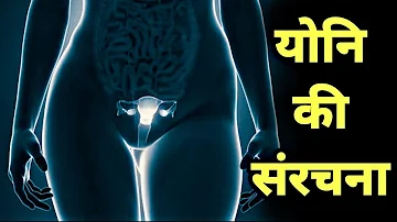 मानव योनि की संरचना कैसी होती हैं - vagina anatomy hindi