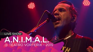 COMBATIVO - A.N.I.M.A.L. en vivo en el @TeatroVorterix