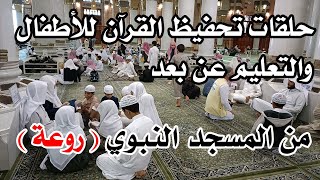 حلقات التعليم عن بعد وتحفيظ القرآن الكريم للأطفال بالمسجد النبوي بالمدينة المنورة - فيديو رائع