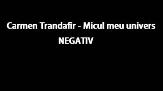 Carmen Trandafir - Micul meu univers NEGATIV