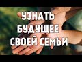 Как узнать будущее своей семьи за 15 минут?