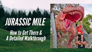 Dinosaurs @ Changi Jurassic Mile: How to get there and a detailed walkthrough!