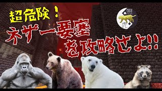 【突発マイクラ】みんなでネザー要塞を攻略!!!!!!!!　【照虎鯖】
