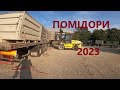 ПОМІДОРНІ  &quot;ЖНИВА &quot;  2023!!!#автошкола_дальнобоя