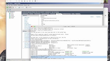 How to access ESXi VMs with VNC