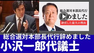 【総合選対本部長代行を辞任しました 。】  「党の体質、党の体制を刷新しなければならない。」 小沢一郎代議士
