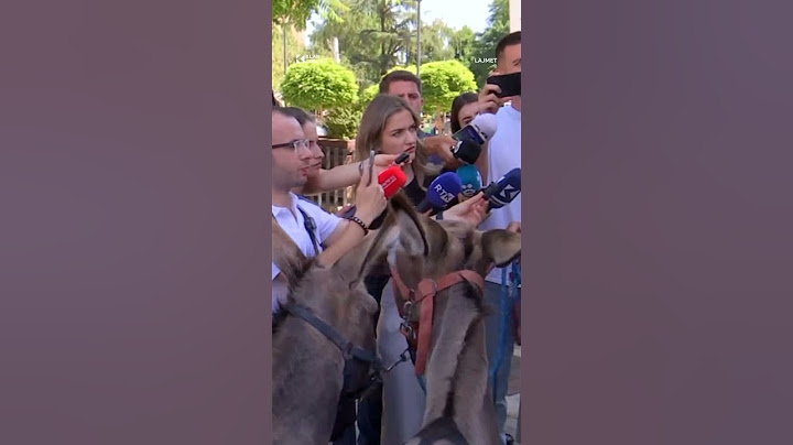Me “bilbila” e gomarë para kuvendit! Protestohet për mos konstiuimin e parlamentit