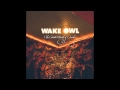 Wake Owl - Days In The Sea [Audio Stream]