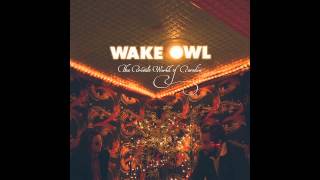 Vignette de la vidéo "Wake Owl - Days In The Sea [Audio Stream]"