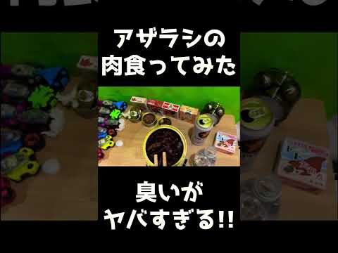 【万丈剛】Vtuberがアザラシ肉を食った時の反応