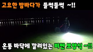 고요한 밤바다가 들썩들썩 ~!! 온통 바닥에 깔려있는 비싼 보양식~!!