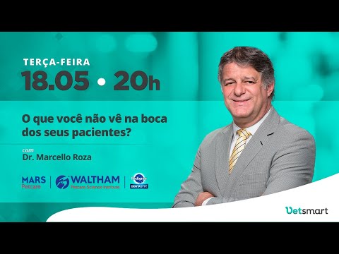 Vídeo: Abrace seu cão interno: Histórias sobre a etiqueta canina para seres humanos