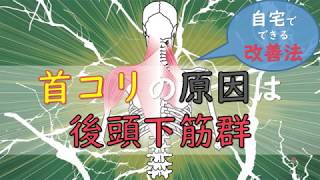 【首コリの原因】は後頭下筋群(こうとうかきんぐん)自宅で簡単にできる改善法！