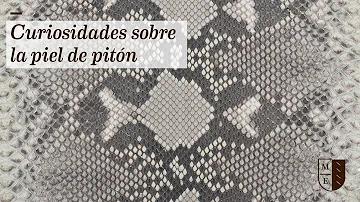 ¿Cómo es la piel de la piton?