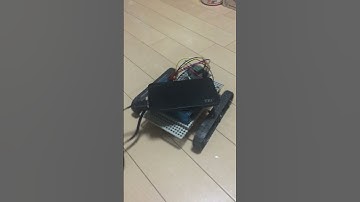 ラズパイで超信地旋回を制御