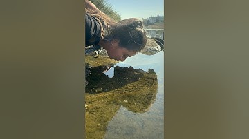 EASY couples Photoshoot idea! #tutorial #photoideas #photoshootlocation