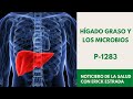 P-1283 Hígado graso y los microbios