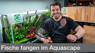 Fische fangen aus einem voll eingerichteten Aquarium! | Liquid Nature screenshot 3