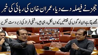 Imran Khan's Bail Decision | Shibli Faraz Historical Speech In Senate | TE2W