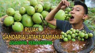 RUJAK BUAH JATAKE/GANDARIA SAMBAL TERASI