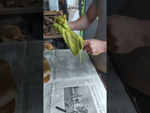 Советская реверсивная отвертка.