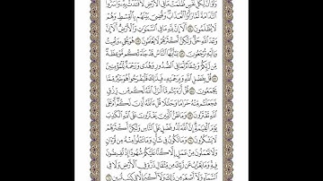 الوجه 215 من القرآن مكرر ١٠ مرات مع الآيات | سورة يونس | الشيخ خليفة الطنيجي