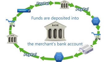 New VeraCore PayPal Integration Video