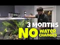 NO Water Changes for 3 Months on the 480 Gallon Aquarium...