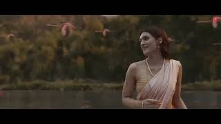 Sheetal Dhaara Flute Cover  By Tn Gupta