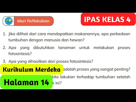 Video: Apa perbedaan antara tumbuhan dan hewan?