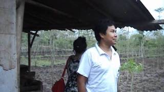 Download Lagu Ervinna - Plek emplek ketepu MP3 Download Lagu Ervinna - Plek emplek ketepu MP3