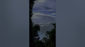 ﴿قالَ إِنَّما أَشكو بَثّي وَحُزني إِلَى اللَّهِ﴾ تلاوه  للقارئ عبدالعزيز الجريسي
