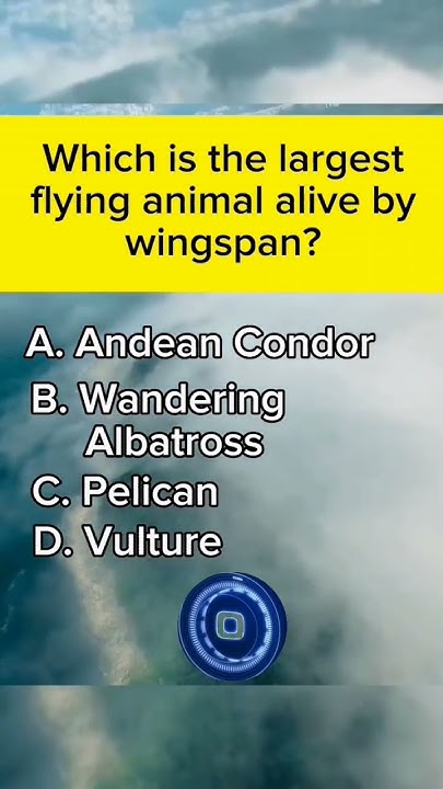 which-is-the-largest-flying-animal-alive-by-wingspan-facts