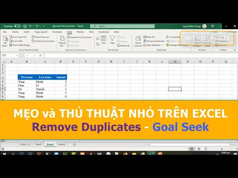 Mẹo và Thủ thuật Excel | Remove Duplicates | Goal Seek