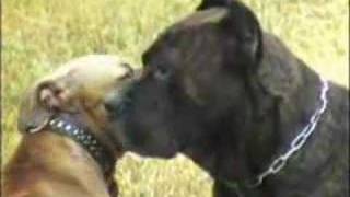 Coming On A Bit Too Strong?