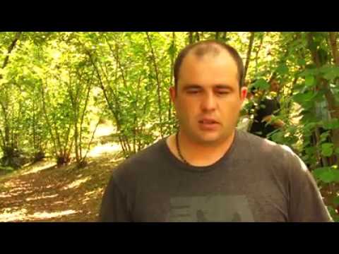 მონიტორინგი