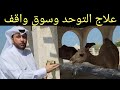 علاج التوحد وزيارة الجمال في سوق واقف قطر د.عبدالعزيز الخزرج الأنصاري