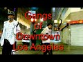 Tierras de pandillas #10 Pandillas del Centro de Los Angeles