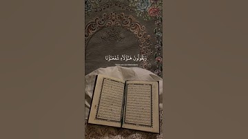 أيات تبث السكينة في القلوب 💚✨| القارئ عبدالرحمن مسعد💚✨