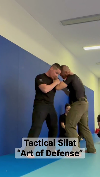 Tactical Silat “street defense silat” #video #shorts #selfdefense #silat #fight #street #pourtoi #fy