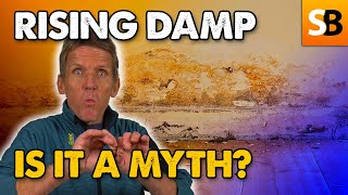 The Rising Damp Myth Exposed? Roger's Rant!