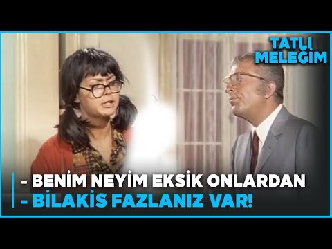 Tatlı Meleğim | Leyla İş Arıyor!