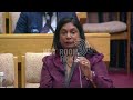 Raulinga says South Africans should allow investigations to unfold