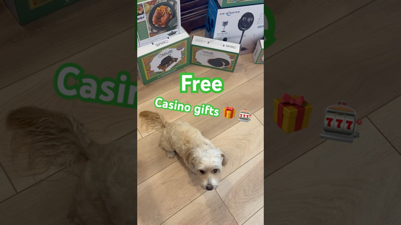 company information private casino Free Casino gifts!🎁subscribe for dogshortscasinolifedogmomdogdogsbonusshortsfeedshorts
